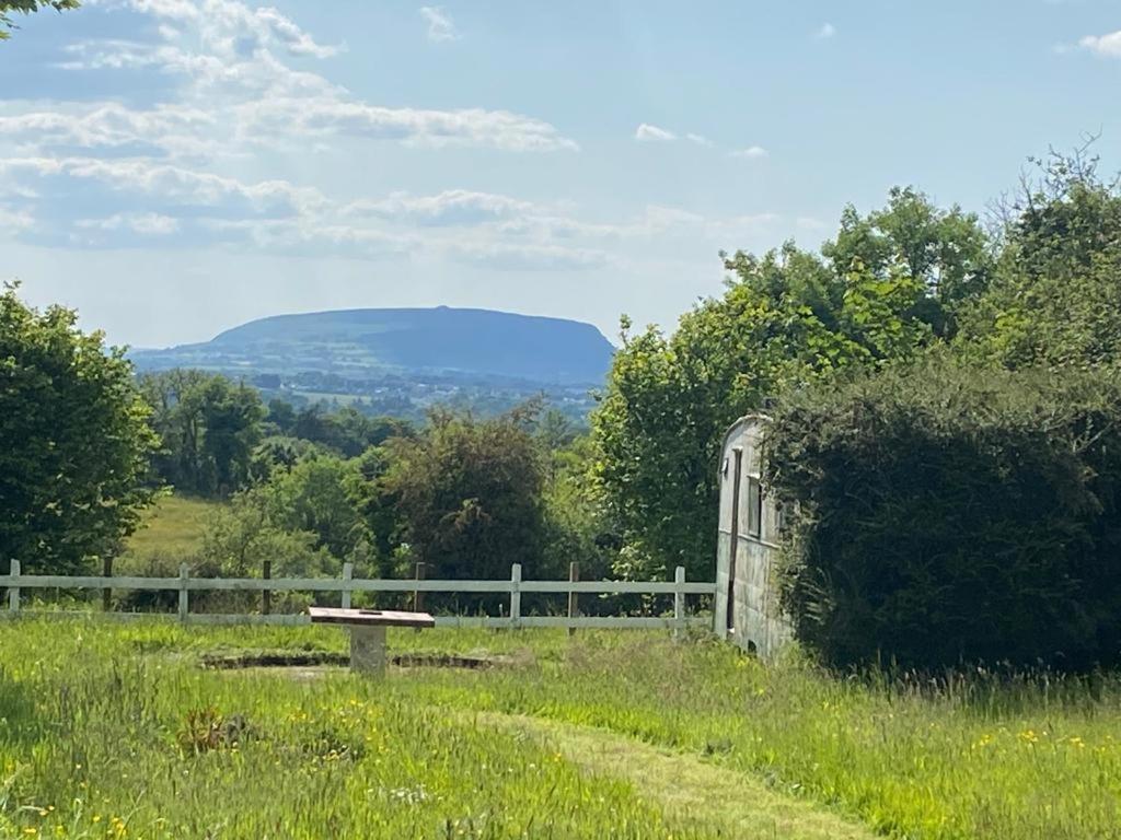 Clover Cottage Sligo Zewnętrze zdjęcie