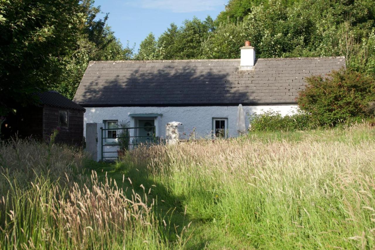 Clover Cottage Sligo Zewnętrze zdjęcie
